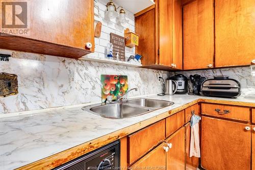 2045 Arner Townline, Essex, ON - Indoor Photo Showing Kitchen With Double Sink