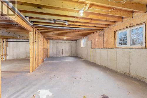 8 Soloman Close, Bay Bulls, NL - Indoor Photo Showing Basement