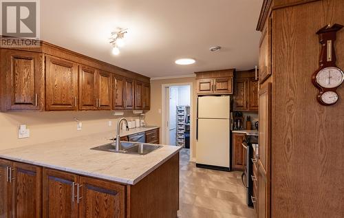 8 Cobra Place, Conception Bay South, NL - Indoor Photo Showing Kitchen With Double Sink