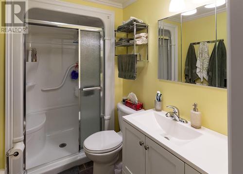 8 Cobra Place, Conception Bay South, NL - Indoor Photo Showing Bathroom