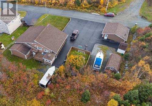 8 Cobra Place, Conception Bay South, NL - Outdoor With View