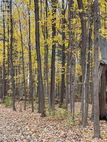 59 Covewood Street, Toronto, ON - Outdoor With View