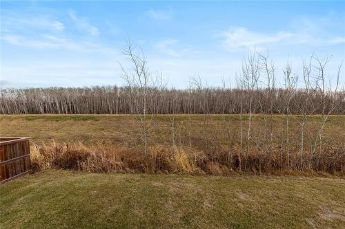 247 Leclerc Bay, St Adolphe, MB - Outdoor With View