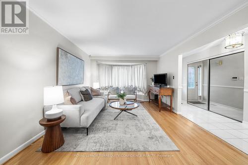 132 Meadowbank Road, Toronto, ON - Indoor Photo Showing Living Room