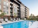 Piscine - 102-Ph3-970 Av. Pierre-Dansereau, Terrebonne (Terrebonne), QC  - Outdoor With In Ground Pool 