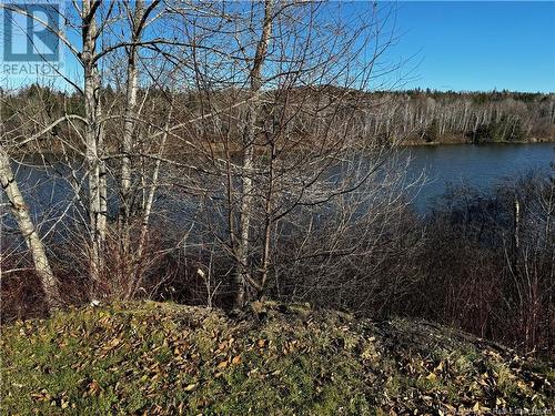 587 Canada Road, Edmundston, NB - Outdoor With View