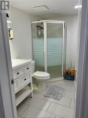 294 East Puce Road, Lakeshore, ON - Indoor Photo Showing Bathroom