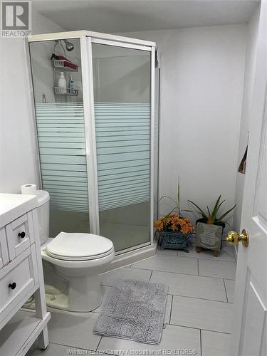 294 East Puce Road, Lakeshore, ON - Indoor Photo Showing Bathroom