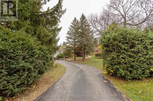 112 Hillcrest Avenue, Hamilton, ON - Outdoor With View