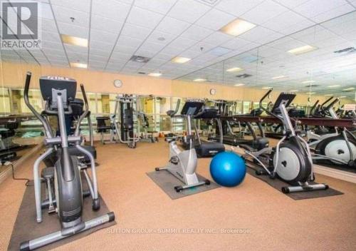 501 - 339 Rathburn Road W, Mississauga, ON - Indoor Photo Showing Gym Room