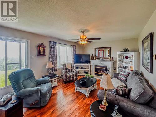 2 Top Road, Branch, NL - Indoor Photo Showing Living Room With Fireplace