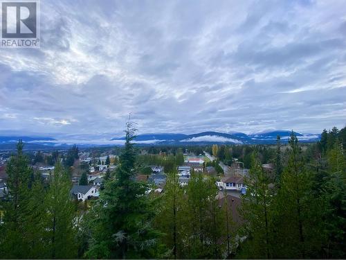 18 4022 Yeo Street, Terrace, BC - Outdoor With View