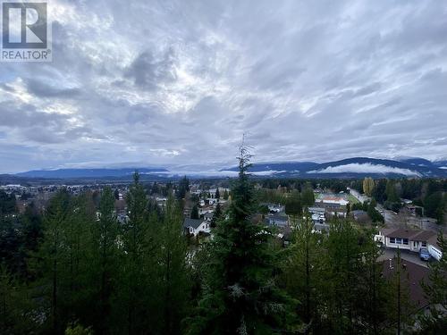 18 4022 Yeo Street, Terrace, BC - Outdoor With View