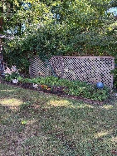 7 Underhill Avenue, Dundas, ON - Outdoor With Deck Patio Veranda