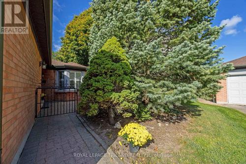 19 - 65 Fiddlers Green Road, London, ON - Outdoor