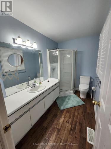 2134 Salma Crescent, Burlington, ON - Indoor Photo Showing Bathroom