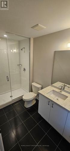 36 Folcroft Street, Brampton, ON - Indoor Photo Showing Bathroom