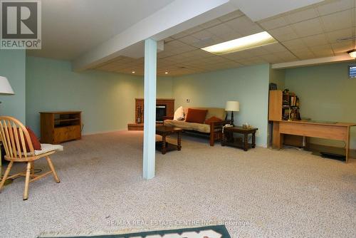 39 Twenty Place Boulevard, Hamilton, ON - Indoor Photo Showing Basement