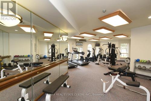 39 Twenty Place Boulevard, Hamilton, ON - Indoor Photo Showing Gym Room