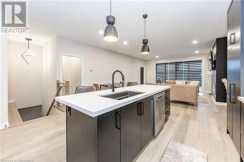 300 Richmond Street Unit# 22, Thorold, ON - Indoor Photo Showing Kitchen With Double Sink