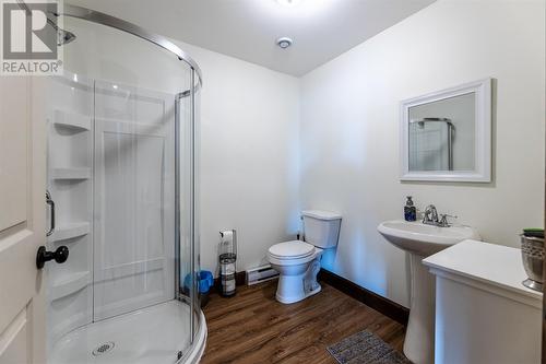 125 Amber Drive, Whitbourne, NL - Indoor Photo Showing Bathroom