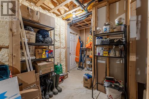 125 Amber Drive, Whitbourne, NL - Indoor Photo Showing Basement