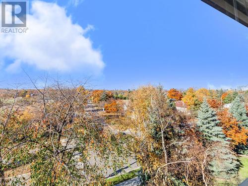 Lower - 250 Kinmount Crescent, Oshawa, ON - Outdoor With View