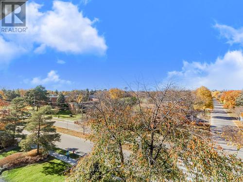 Lower - 250 Kinmount Crescent, Oshawa, ON - Outdoor With View