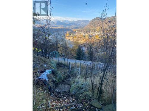 2183 Daniel Street, Trail, BC - Outdoor With View