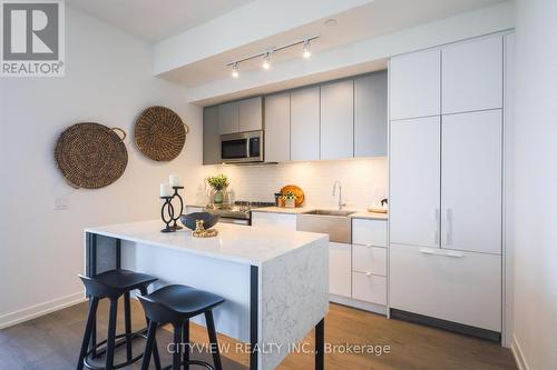 Lph14 - 270 Dufferin Street, Toronto, ON - Indoor Photo Showing Kitchen With Upgraded Kitchen