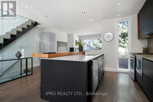 347 Windermere Avenue, Toronto, ON - Indoor Photo Showing Kitchen With Upgraded Kitchen