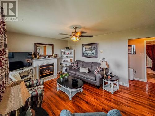 2 Top Road, Branch, NL - Indoor Photo Showing Living Room With Fireplace