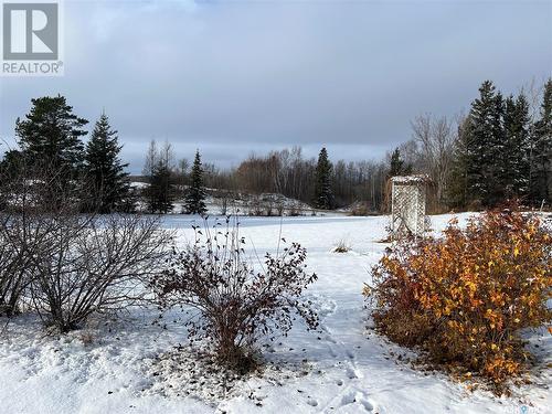 Ottenbreit Acreage, Porcupine Rm No. 395, SK - Outdoor With View