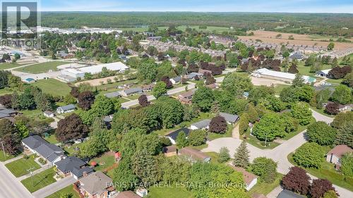 39 Brackenbury Street, Grey Highlands, ON - Outdoor With View