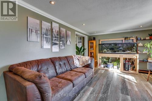 315 Burns Street, Strathroy-Caradoc (Sw), ON - Indoor Photo Showing Living Room