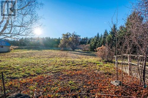 4046 20Th Side Road, Bradford West Gwillimbury, ON - Outdoor With View