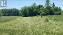 Lot 99 Ashwood Avenue, Georgina, ON 