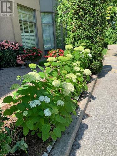 View of exterior details - 2511 Lakeshore Road W Unit# 108, Oakville, ON - Outdoor