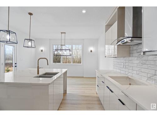 3616 6 St Nw, Edmonton, AB - Indoor Photo Showing Kitchen With Double Sink With Upgraded Kitchen