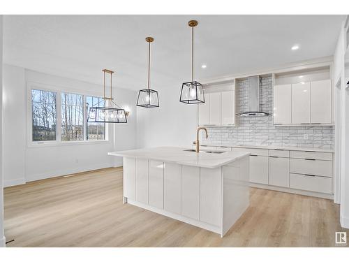 3616 6 St Nw, Edmonton, AB - Indoor Photo Showing Kitchen With Upgraded Kitchen