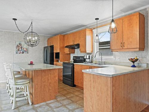 Cuisine - 121 Rue Modela, Saint-Jean-Sur-Richelieu, QC - Indoor Photo Showing Kitchen With Double Sink