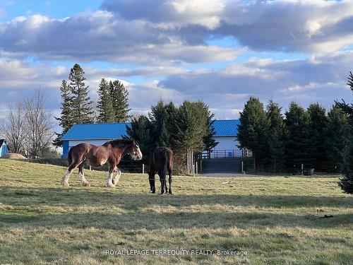 189 East Hungerford Rd, Tweed, ON - Outdoor With View