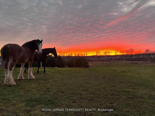 189 East Hungerford Rd, Tweed, ON - Outdoor With View