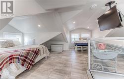 Bedroom with light hardwood / wood-style flooring, multiple windows, and vaulted ceiling - 