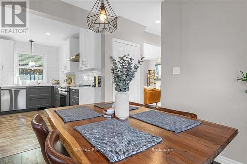 29 Montrose Avenue, Hamilton, ON - Indoor Photo Showing Kitchen With Upgraded Kitchen