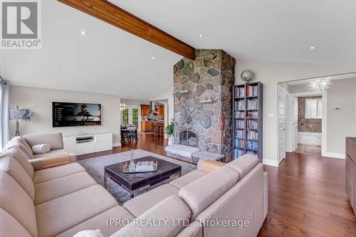 993608 Mono-Adjala Townline, Mono, ON - Indoor Photo Showing Living Room With Fireplace