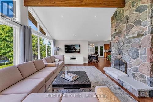 993608 Mono-Adjala Townline, Mono, ON - Indoor Photo Showing Living Room With Fireplace