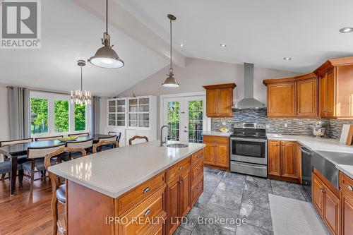 993608 Mono-Adjala Townline, Mono, ON - Indoor Photo Showing Kitchen With Double Sink