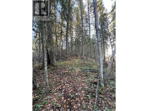 Lot A Quesnel-Hydraulic Road, Quesnel, BC 