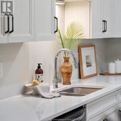 100 Erie Street North, Ridgetown, ON - Indoor Photo Showing Kitchen With Double Sink